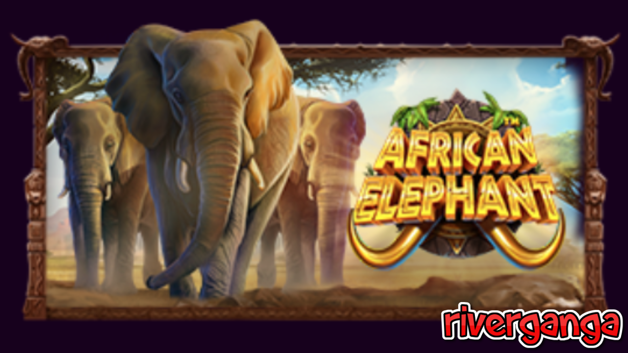 Amazing Jackpot in “African Elephant™” Slot by Pragmatic Play [2024] post thumbnail image
